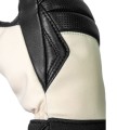 Rękawice narciarskie damskie Reusch Megan R-TEX XT black